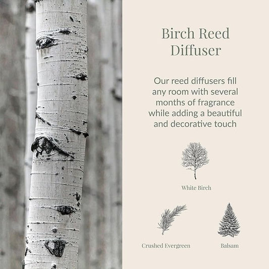 Archipelago Botanicals Birch Reed Home Fragrance Reed Diffuser, Includes Fragrance Oil, Decorative Wooden Cap & 10 Diffuser Reeds, Perfect for Home, Office or Gift, 7.85 fl oz