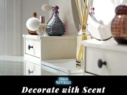 Urban Naturals Winter Birch Reed Diffuser Oil Gift Set | Birch Wood & Balsam Scented Oil with Bamboo Reed Sticks | Great Holiday Home Fragrance Air Freshener for The Living Room