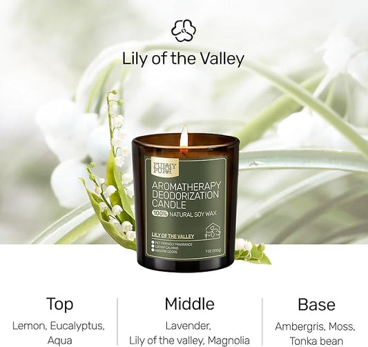 Odor Eliminating Candle, Lily of The Valley Scented Candle, Pet-Friendly Soy Candles, 60 Hours, 7 oz