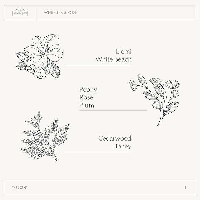 A LA MAISON Earth Body Scrub – White Tea & Rose – Natural Pumice Scrub with Shea Butter & Olive Oil – Gently Exfoliates & Softens Skin – French Formula – Plant-Based – 7 oz – Amber Collection