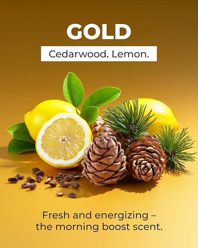 Bossman Complete Beard Kit – Men's Beard Oil Jelly, Fortifying Shower Conditioner, Balm, Mustache Wax & Comb – Beard Softener & Grooming Care (Gold Scent)