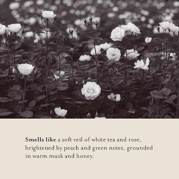 A LA MAISON Earth Body Scrub – White Tea & Rose – Natural Pumice Scrub with Shea Butter & Olive Oil – Gently Exfoliates & Softens Skin – French Formula – Plant-Based – 7 oz – Amber Collection